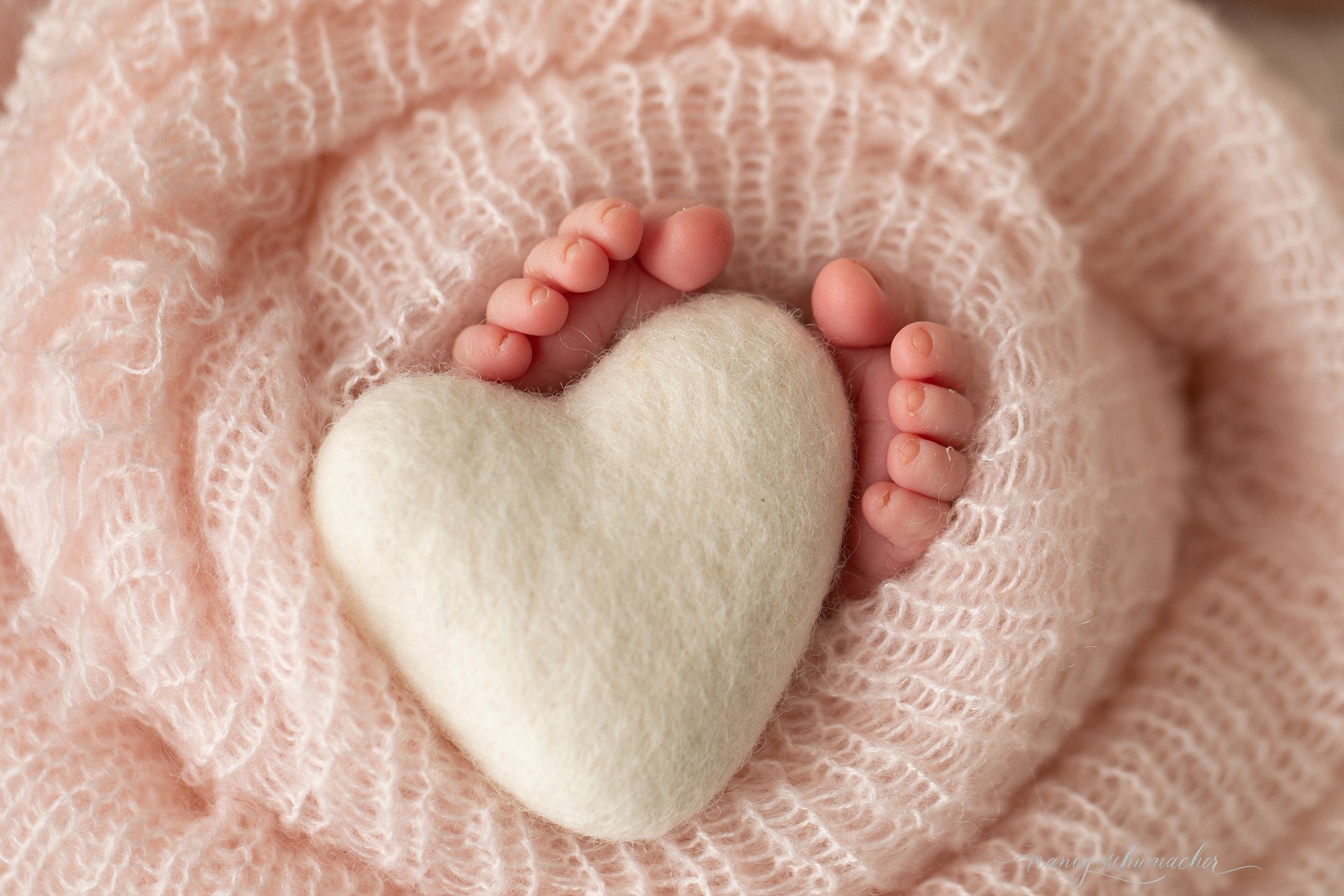 nancy schumacher thompson north dakota newborn photographer_1139.jpg