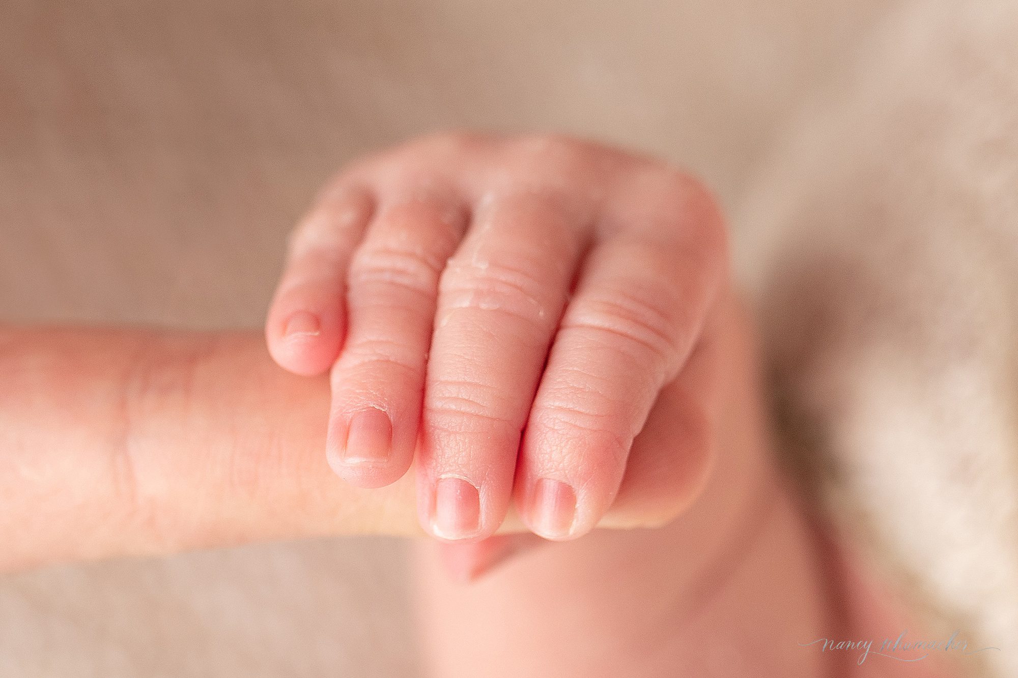nancy schumacher photography_north dakota_newborn_photograper_thompson_0092.jpg