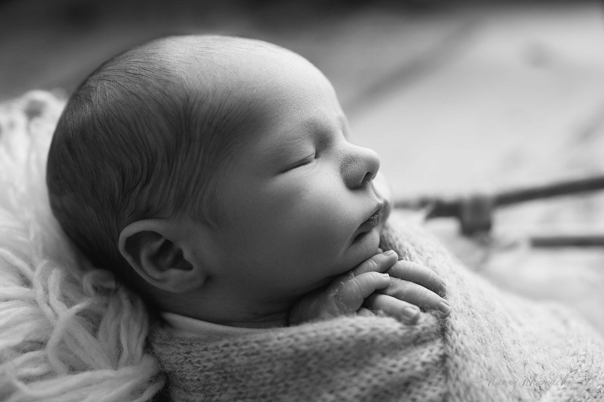nancy schumacher photography_north dakota photographer_thompson_0668.jpg