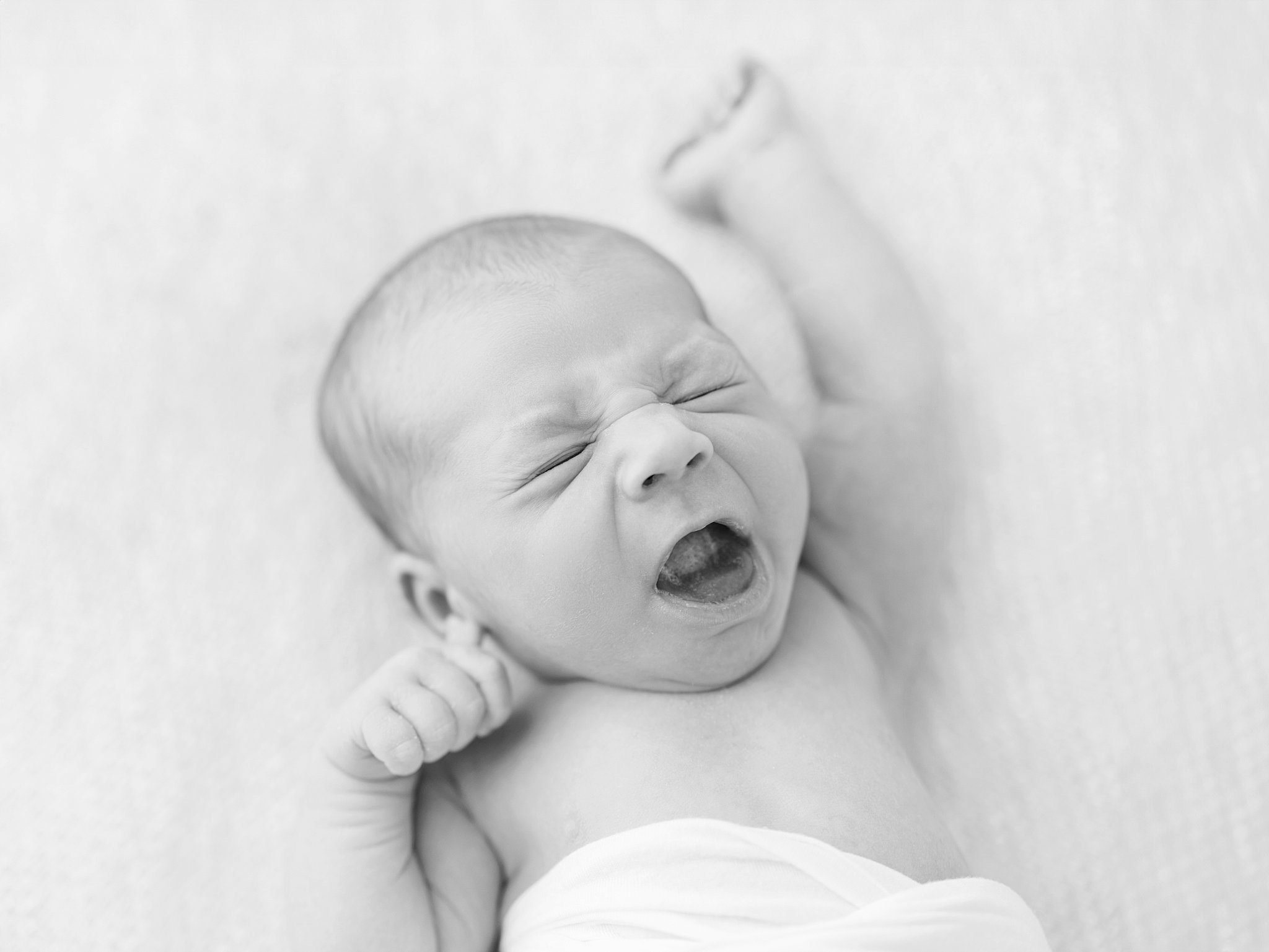 nancy schumacher photography_north dakota photographer_thompson_2986.jpg